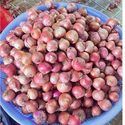 1kg Hành Củ Khô Ấn Độ Thơm - ngon - chất lượng không chất bảo quản phù hợp với nhiều món ăn