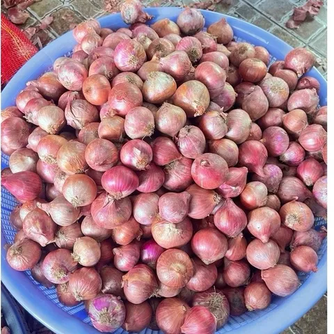 1kg Hành Củ Khô Ấn Độ Thơm - ngon - chất lượng không chất bảo quản phù hợp với nhiều món ăn