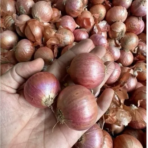 1kg Hành Củ Khô Ấn Độ Thơm - ngon - chất lượng không chất bảo quản phù hợp với nhiều món ăn