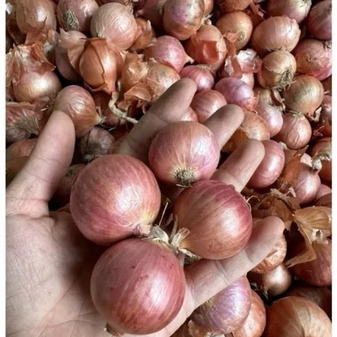 1kg Hành Củ Khô Ấn Độ Thơm - ngon - chất lượng không chất bảo quản phù hợp với nhiều món ăn