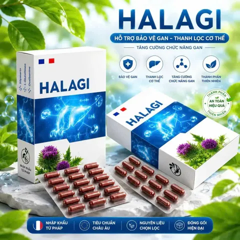 [CHÍNH HÃNG] Viên Uống Bổ Gan HALAGI Pháp (Hộp 30 Viên) – Hỗ Trợ Tăng Cường Chức Năng Gan, Giải Độc & Bảo Vệ Tế Bào Gan