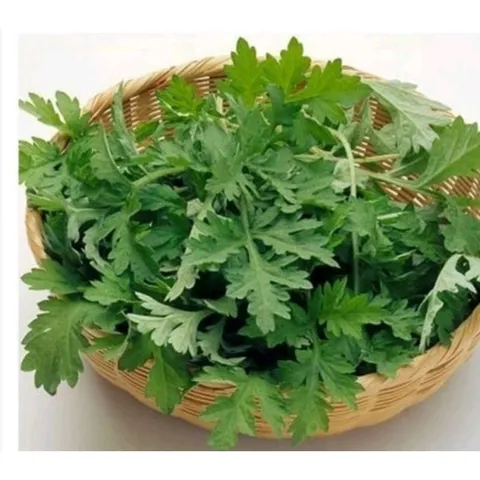 100GR Bột Ngải Cứu nguyên chất 100%