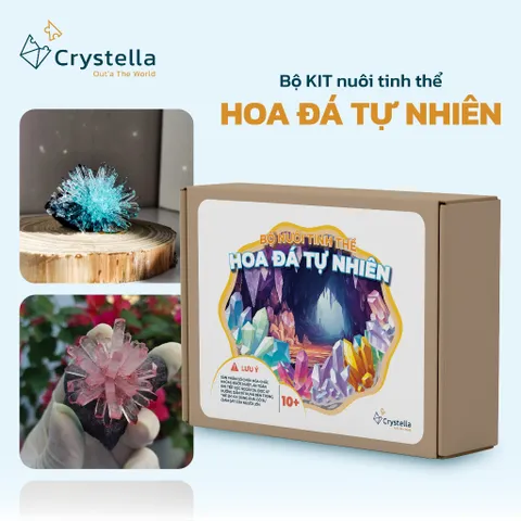 Bộ Nuôi Tinh Thể Hoa Đá Crystella - Tái Hiện Sự Kỳ Diệu Của Thiên Nhiên Ngay Tại Nhà!