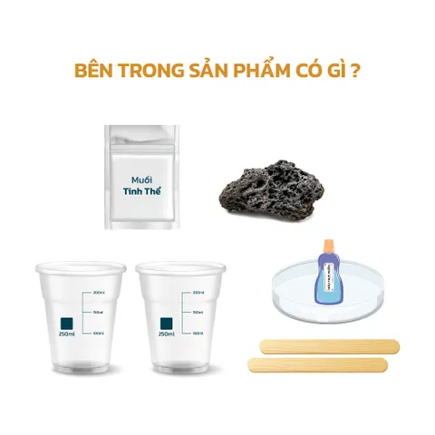 Bộ Nuôi Thí Nghiệm Khoa Học Crystella Hoa Đa Sắc - Tái Hiện Vịnh Hạ Long Rực Rỡ Ngay Tại Nhà, Phù Hợp Cho Bé Từ 7 Tuổi
