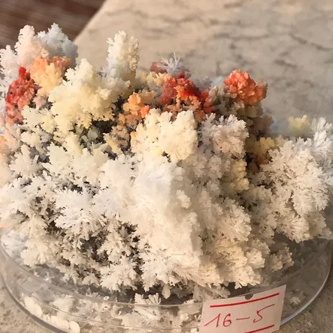Bộ Nuôi Thí Nghiệm Khoa Học Crystella Hoa Đa Sắc - Tái Hiện Vịnh Hạ Long Rực Rỡ Ngay Tại Nhà, Phù Hợp Cho Bé Từ 7 Tuổi