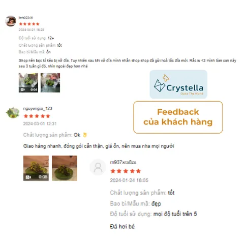 Bộ Nuôi Thí Nghiệm Khoa Học Crystella Hoa Đa Sắc - Tái Hiện Vịnh Hạ Long Rực Rỡ Ngay Tại Nhà, Phù Hợp Cho Bé Từ 7 Tuổi