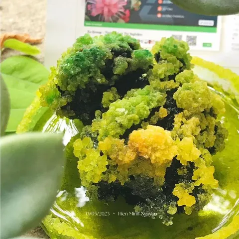 Bộ Nuôi Thí Nghiệm Khoa Học Crystella Hoa Đa Sắc - Tái Hiện Vịnh Hạ Long Rực Rỡ Ngay Tại Nhà, Phù Hợp Cho Bé Từ 7 Tuổi