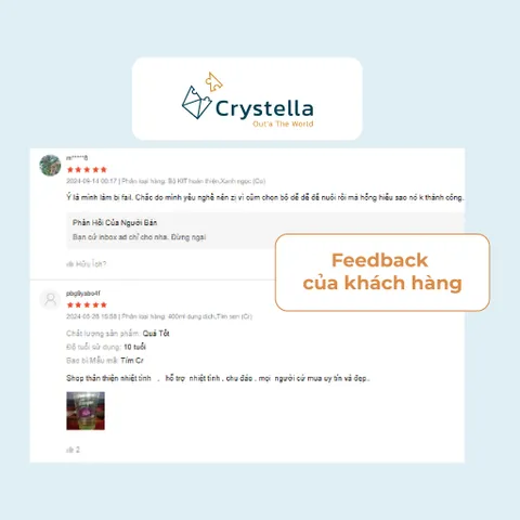 Bộ Kit Điều Chế Nuôi Tinh Thể Bông Cầu NaMg Crystella – Trải Nghiệm Thí nghiệm Khoa Học STEM Tại Nhà Độc Đáo