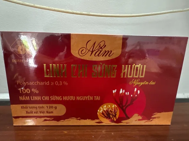 Nấm linh chi sừng hươu nguyên tai 