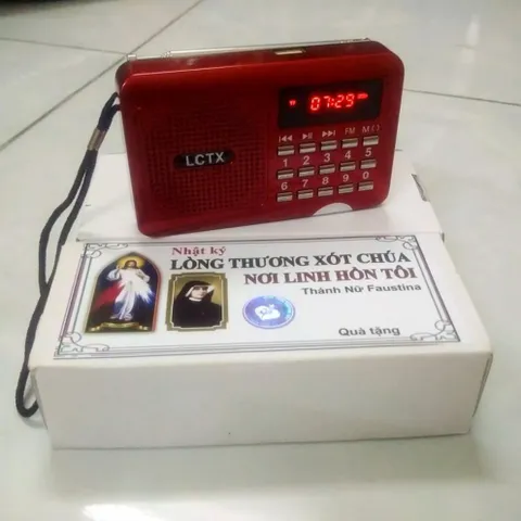 Radio Nhật Ký Lòng Thương Xót Chúa của Thánh Faustina - Cha LONG GIẢNG 840438