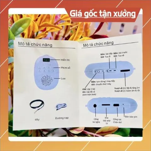 Loa lá bồ đề kèm thẻ 8gb - 16gb Nghe tắm ngôn ngữ, Nghe Tiếng Anh 840449