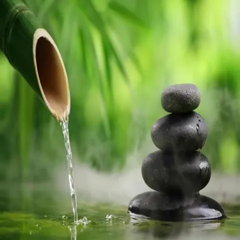 [SPA ZEN MUSIC] Thẻ Nhớ 8G Chép Hơn 30 Bài Nhạc Thiền Hay Nhất, Thiền Cho Spa - Âm Thanh Nước Chảy có hoả tốc 840514