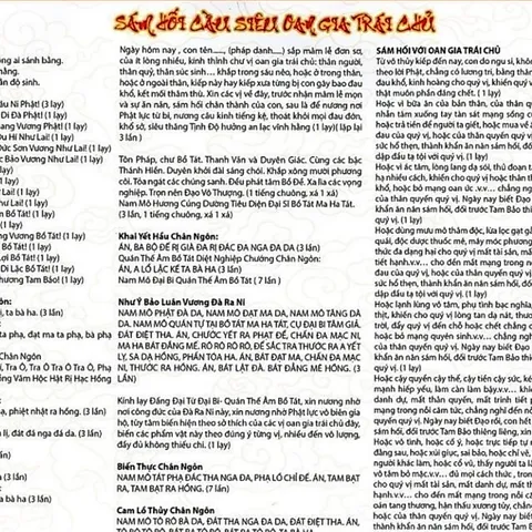 TO58 - Kinh Sám Hối Kinh Phật Cầu Siêu Cho Oan Gia Trái Chủ Nhờ Oai Lực A Di Đà Phật & giải kết thần chú 840612