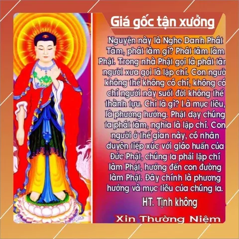 Thẻ 8G Chép Sẵn 617 Bài Tổng Hợp Pháp Môn Niệm Phật - Kinh Thiện Ác Nhân Quả, Trợ Niệm Khi Lâm Chung 840637
