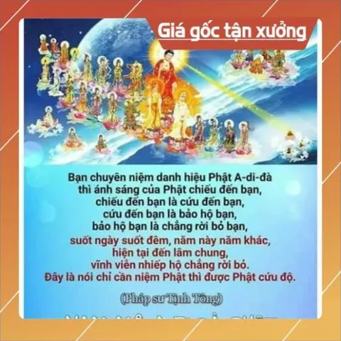 Thẻ 8G Chép Sẵn 617 Bài Tổng Hợp Pháp Môn Niệm Phật - Kinh Thiện Ác Nhân Quả, Trợ Niệm Khi Lâm Chung 840637