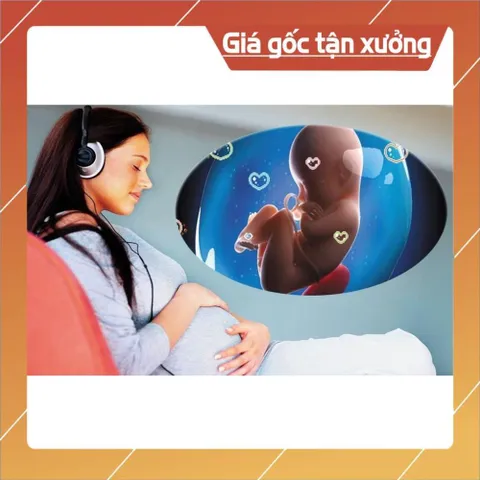 Thẻ 2G Cài Sẵn Trăm Bài Nhạc Mp3 Chuyên Dụng Cho Thai Nhi có hoả tốc 840687