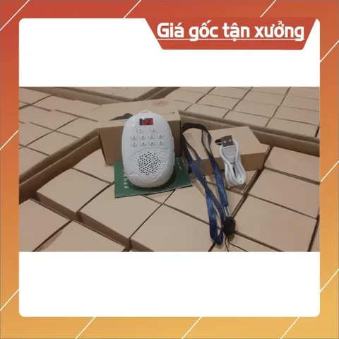 Loa Bồ Đề Loa Tắm Ngôn Ngữ Tiếng Anh Cho Bé 840715