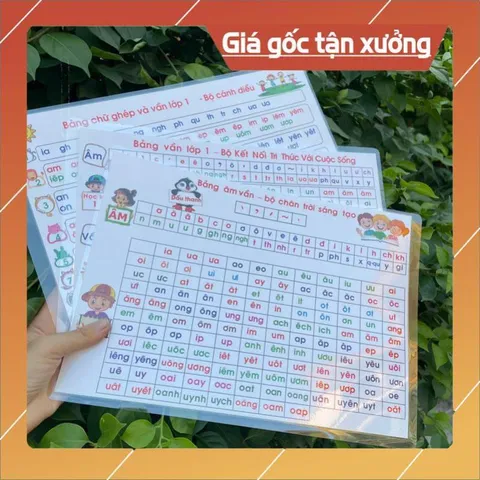 Tờ giấy Các loại âm vần , toán học tập cho bé ép plastic siêu bền