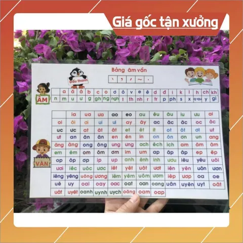 Bảng Âm Vần Lớp 1 Khổ A4 – Ép Plastic 2 Mặt  – Dành Cho Bé 4-7 Tuổi, Bộ kết nối, cánh diều, CTST 840748