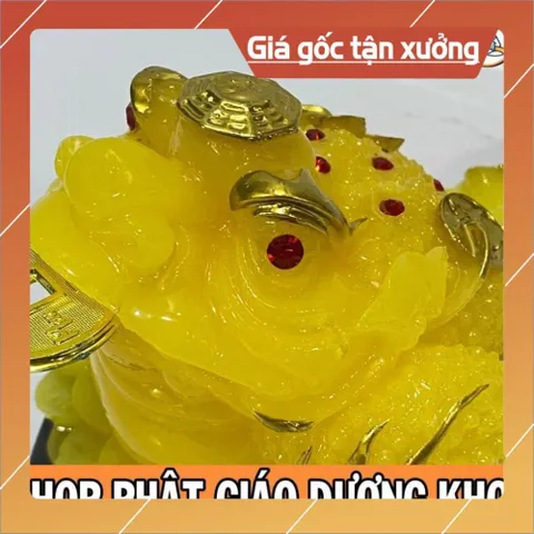 Cóc LỚN, Thiềm Thừ 10CM Ngọc Phong Thuỷ Lớn ĐẸP 840967