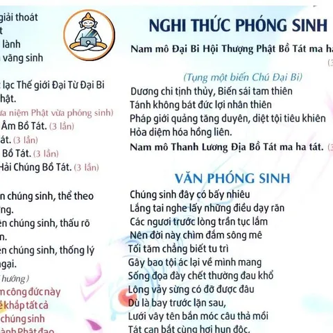 TO73 tờ chú Nghi Thức Phóng Sinh 2 mặt ép plastic siêu đẹp  2 SIZE A4 VÀ A3 ÉP PLASTICS