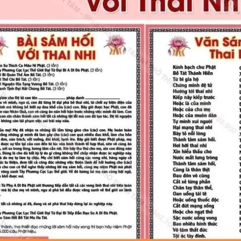COMBO 15 Tờ Sám Hối Với Thai Nhi, IN 2 MẶT, ÉP PLASTICS NHIỀU CỠ 841443