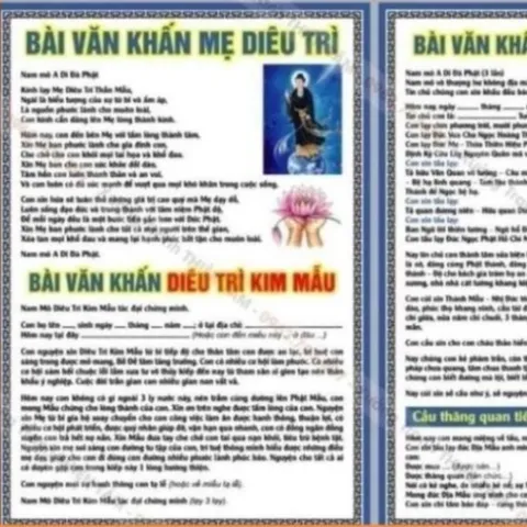 COMBO 15 Tờ Sám Hối Với Thai Nhi, IN 2 MẶT, ÉP PLASTICS NHIỀU CỠ 841443