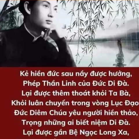 TN51 - THẺ NHỚ PHẬT GIÁO HÒA HẢO, Thẻ Nhớ 8G Chép Sẵn 300 Bài Kinh Phật, Niệm Phật, Các Bài Sấm Giảng, Học Phật Tu Nhân