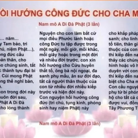 TO56 - Hồi hướng công đức cho Cha Mẹ cực đẹp 841668
