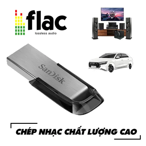 USB Phát nhạc cho oto, đã chép sẵn 32GB nhạc trữ tình, bolero, nhạc vàng, nhạc hải ngoại chất lượng cao Lossless
