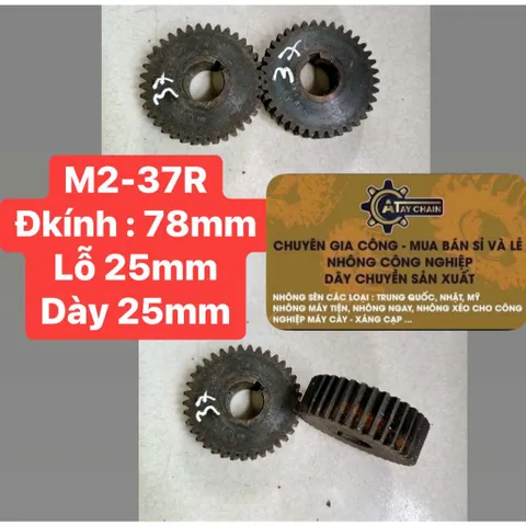 Nhông Thẳng Modul 2 M2-34R/37R/38R/40R/42R/50R/52R/55R/57R/59R/62R/64R (Dày 25mm, Lỗ 25mm)