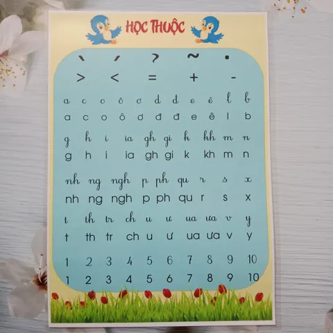 Bảng học thuộc chữ cái chữ ghép, số, dấu, kích thước A3. ép plastic. sẵn băng keo dán tường