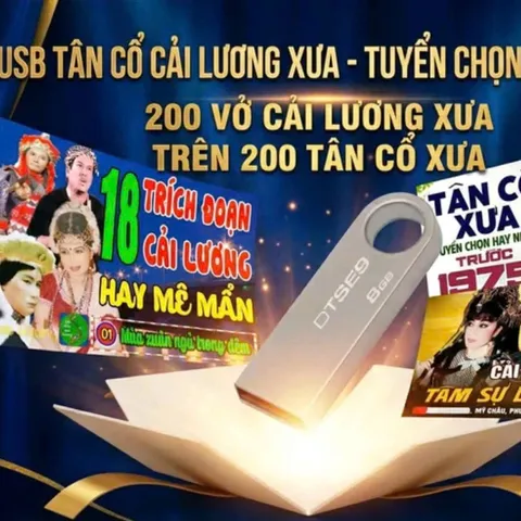 USB 32GB NHẠC HÌNH VÀ VIDEO 5000 BÀI ĐỦ THỂ LOẠI 250K