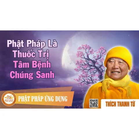 TN17 - Thẻ Nhớ 8G Chép Sẵn 623 Bài Thuyết Pháp Thiền Sư Thích Thanh Từ 0398-142-241