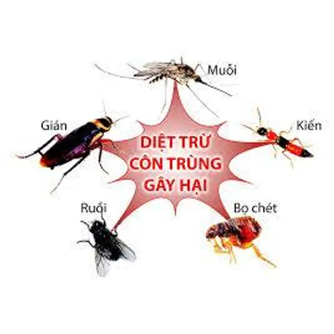 XỊT CÔN TRÙNG ARS 600 ml Thái Lan - Công thức mạnh mẽ bảo vệ cả gia đình khỏi Muỗi, gián và các côn trùng