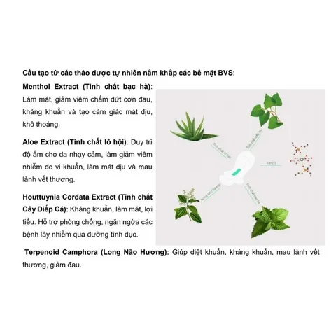 SỈ 50 GÓI BĂNG VỆ SINH DOCTOR CARE hàng ngày 20 miếng