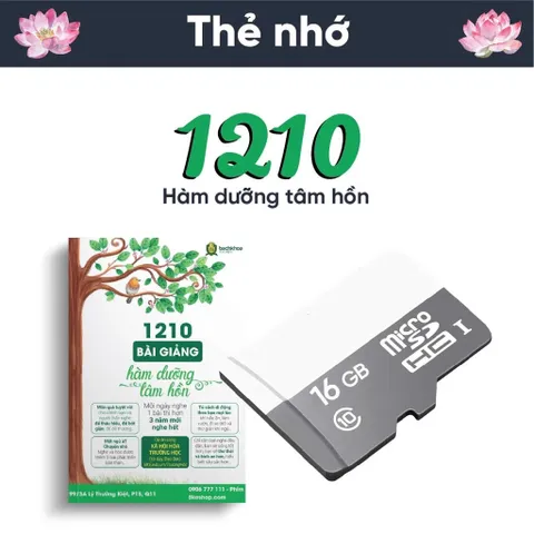 TN91 Thẻ Nhớ 1210 Bài Pháp Thoại Hàm Dưỡng Tâm Hồn - Đẫ Có Nội Dung dương khoa shop DƯƠNG KHOA