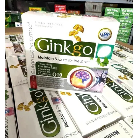 Ginkgo biloba 240mg Giúp hoạt huyết, tăng cường lưu thông máu, giảm đau đầu chóng mặt Hoạt huyết dưỡng não