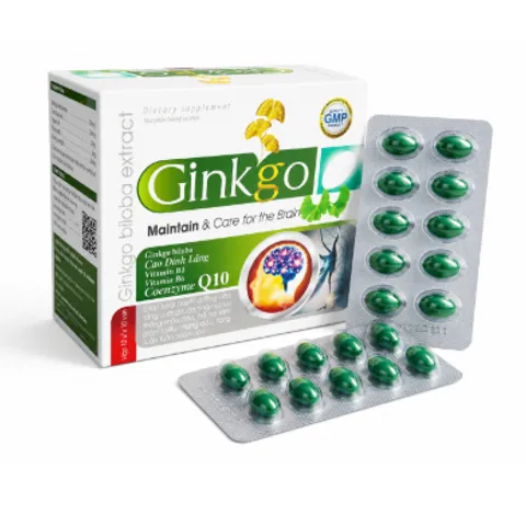 Ginkgo biloba 240mg Giúp hoạt huyết, tăng cường lưu thông máu, giảm đau đầu chóng mặt Hoạt huyết dưỡng não