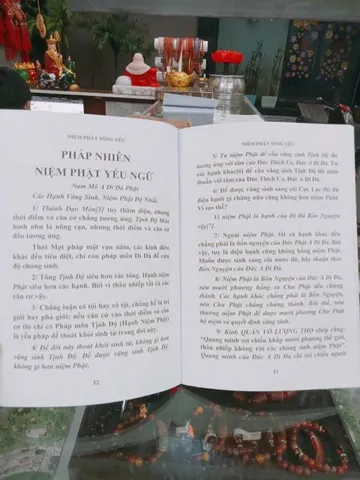 Niệm Phật tông yếu