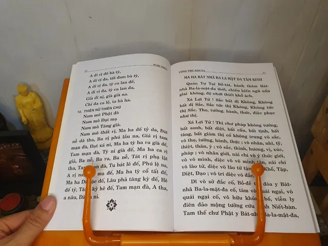 Kinh Nhật Tụng Hình Phật Thầy Đăng Quang
