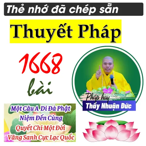 TN97 - Thẻ Nhớ 16G Chép Sẵn 1668 Bài Thuyết Pháp Thầy Thích Nhuận Đức cực hay