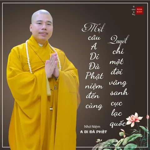 TN97 - Thẻ Nhớ 16G Chép Sẵn 1668 Bài Thuyết Pháp Thầy Thích Nhuận Đức cực hay