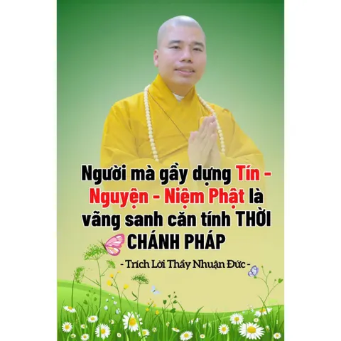 TN97 - Thẻ Nhớ 16G Chép Sẵn 1668 Bài Thuyết Pháp Thầy Thích Nhuận Đức cực hay