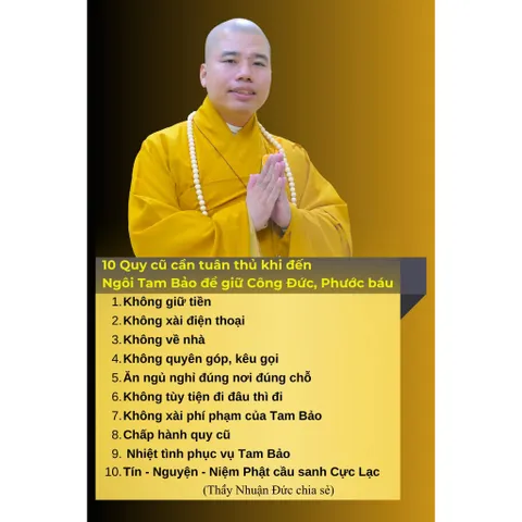 TN97 - Thẻ Nhớ 16G Chép Sẵn 1668 Bài Thuyết Pháp Thầy Thích Nhuận Đức cực hay