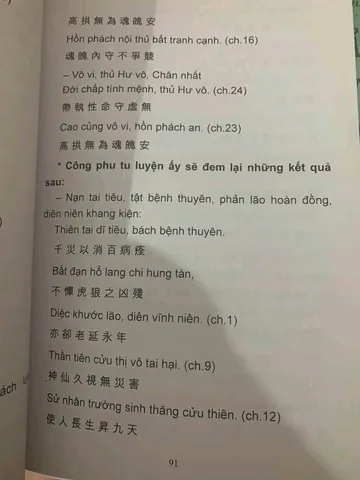 SỔ TAY KINH HUỲNH ĐÌNH - HUYỀN CHÂN TỬ cực hay
