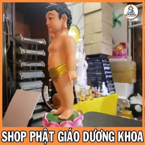 HOẢ TỐC, TƯỢNG PHẬT ĐẢN SANH CAO 40cm  VẺ MÀU ĐS09 cực đẹp