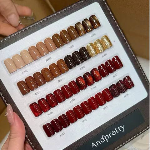 Set Sơn Andpretty 16 Màu Cao Cấp Kết Hợp Các Tone Nâu Đỏ Nhũ Mắt Mèo Siêu Sáng Tặng Kèm Bảng Màu HOT [ TÚ ANH NAIL ]