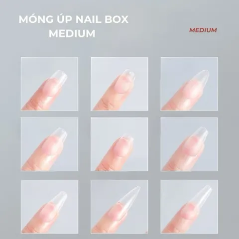 Hộp 100C Móng Úp Giả Nhám Sẵn Làm Nailbox Đủ Phom Chia Size S,M Tiện Lợi Mỏng Dẻo Ôm Không Nứt Gãy [ TÚ ANH NAIL ]