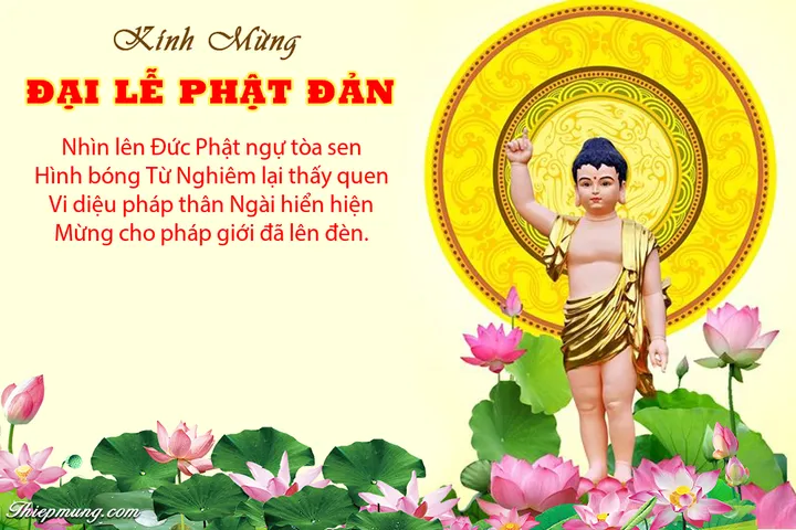 Sổ tay nghi thức Phật Đản - T Nhật Từ DƯƠNG KHOA SHOP